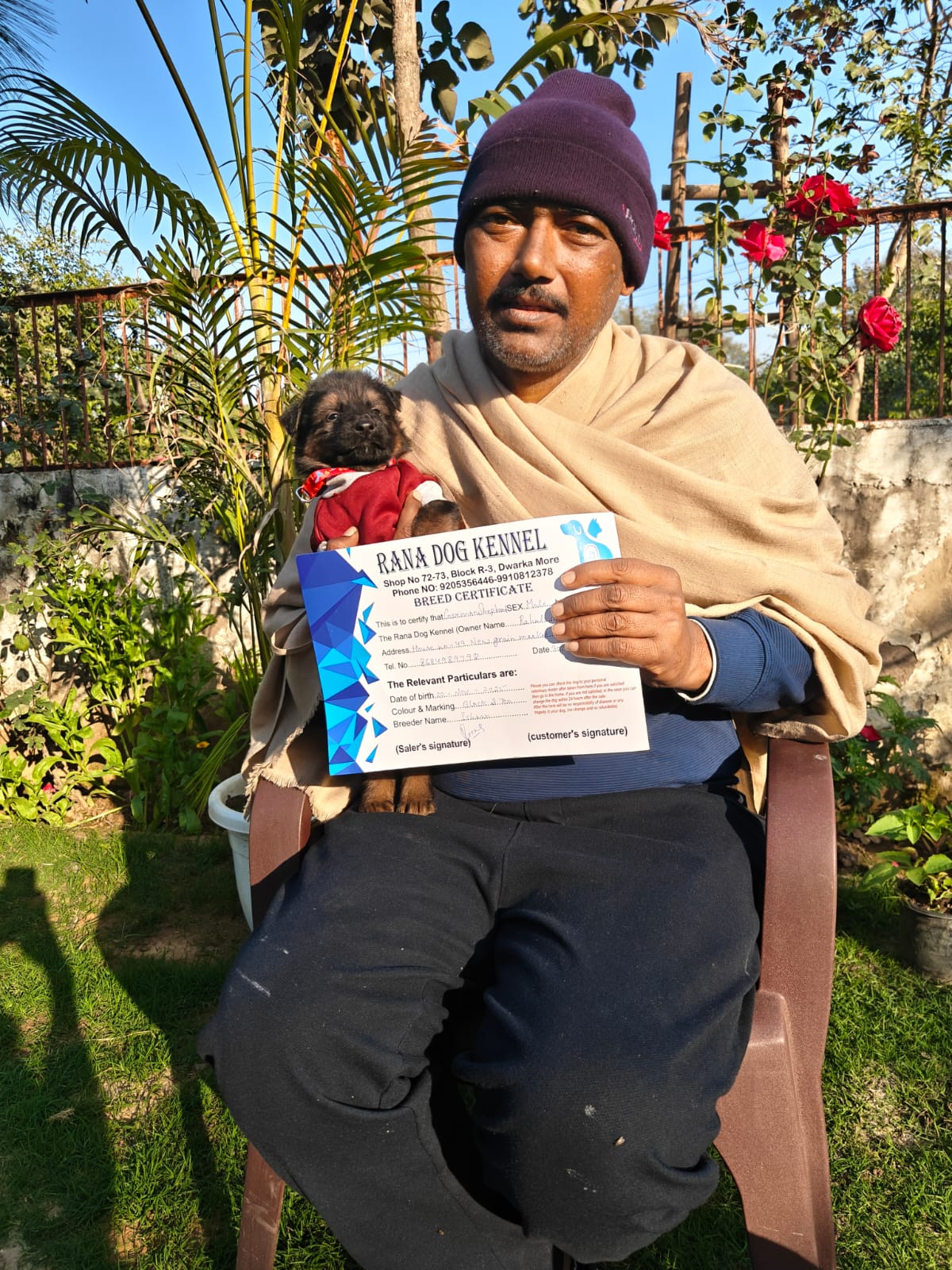 Arjun Cocker Spaniel Bangalore